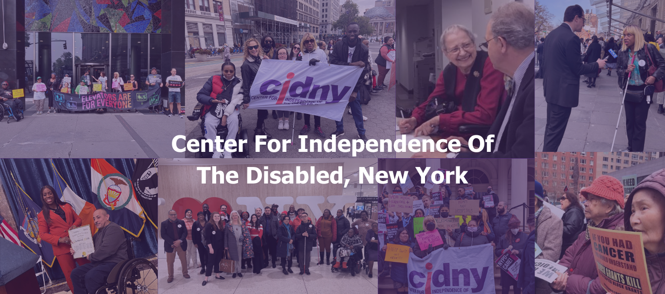 background photo is a collage of multiple photos including a woman in a wheel chair smiling, next photo is of CIDNY advocates holding a banner, the next is of a woman smiling at a desk writing, then next is a photo of dr sharon mclennon weir a black woman being interviewed by a white man from pix 11, a photo of the cidny team at albany posing in front of an I love new york sign.